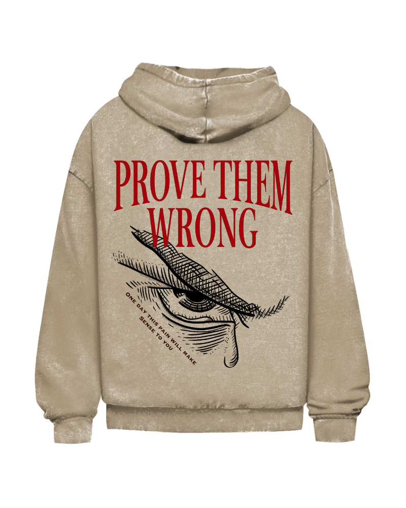 Prove Them Wrong | Oversized washed hoodie