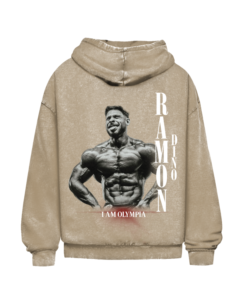 Ramon Dino | Oversized washed hoodie