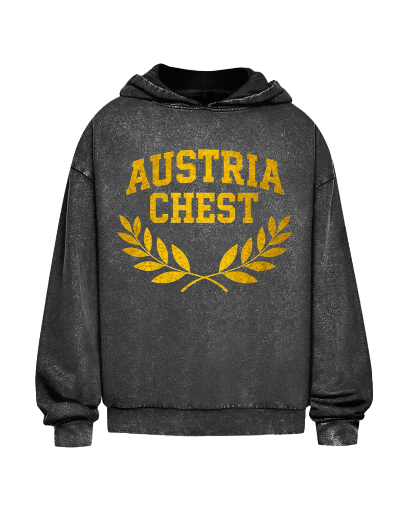 Austria Chest | Oversized washed hoodie