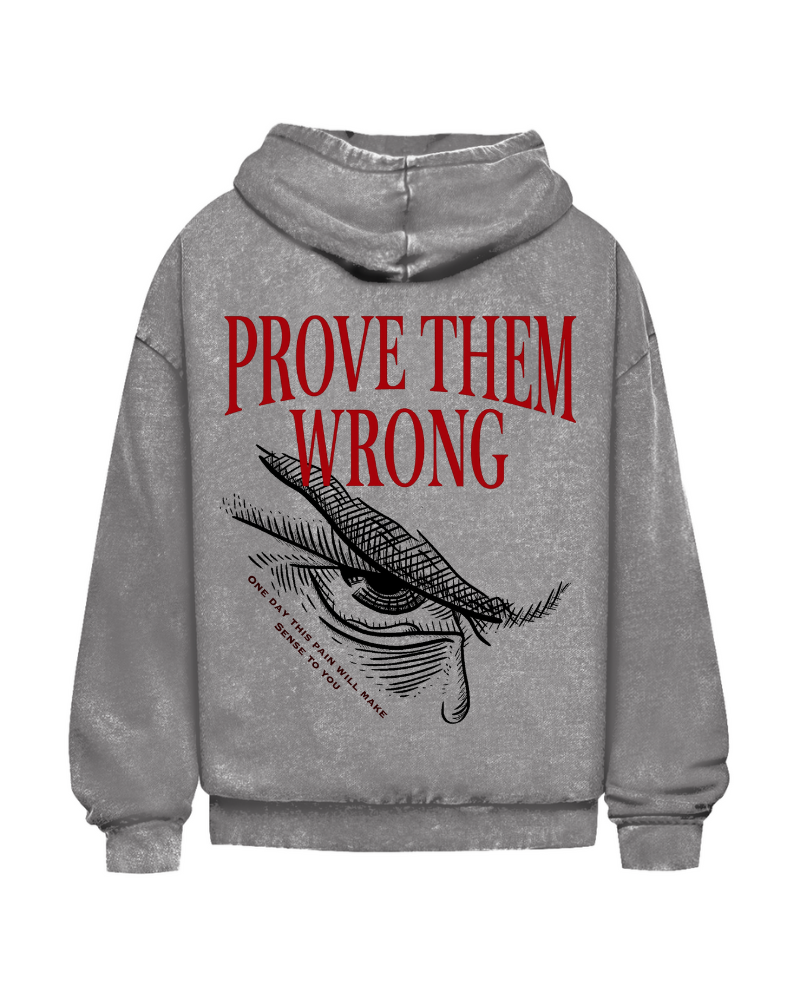 Prove Them Wrong | Oversized Washed Hoodie