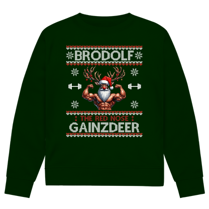 Brodolf | Sweatshirt (front print)