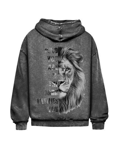 Who Are You | Oversized Washed Hoodie