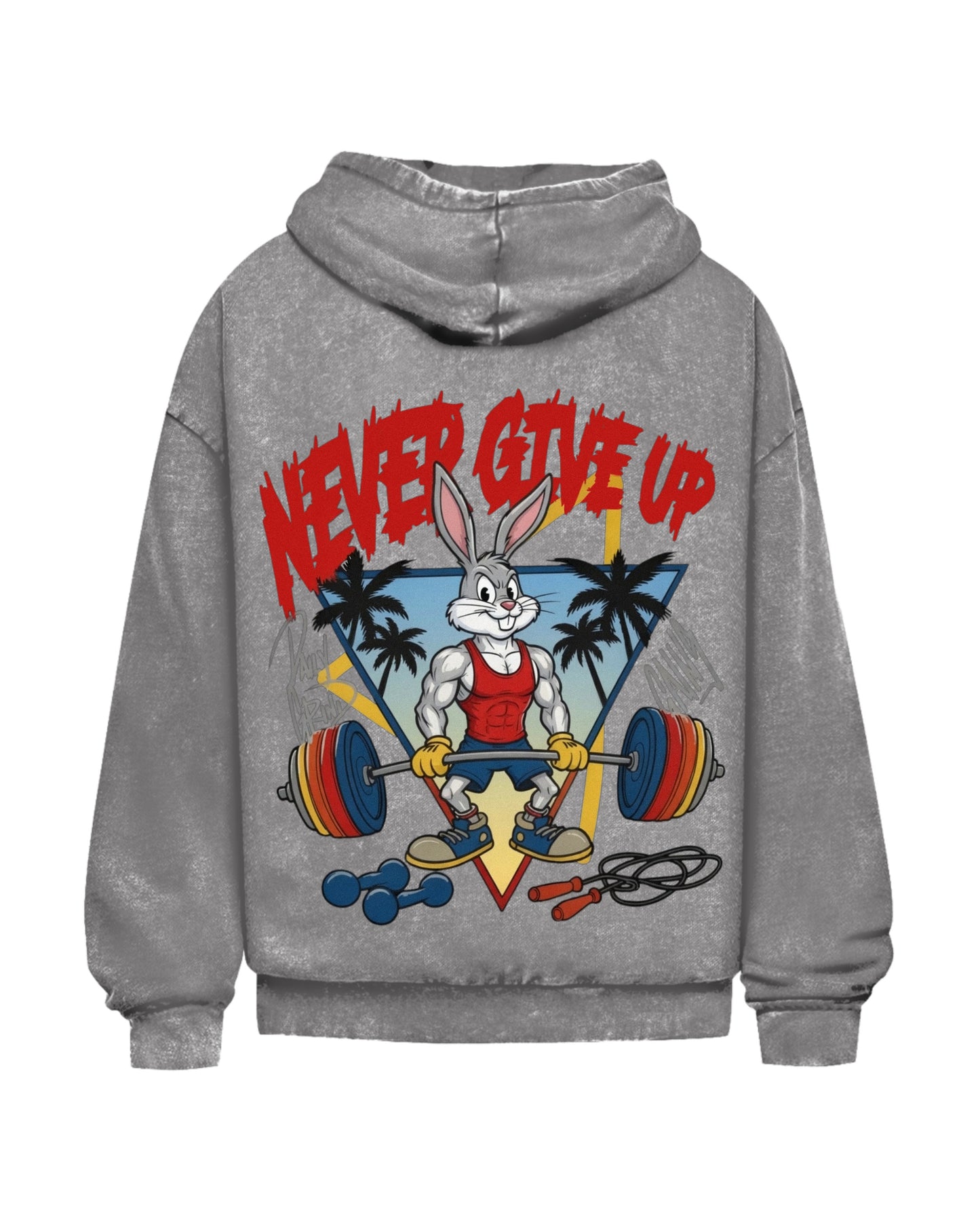 Never Give Up | Oversized Washed Hoodie