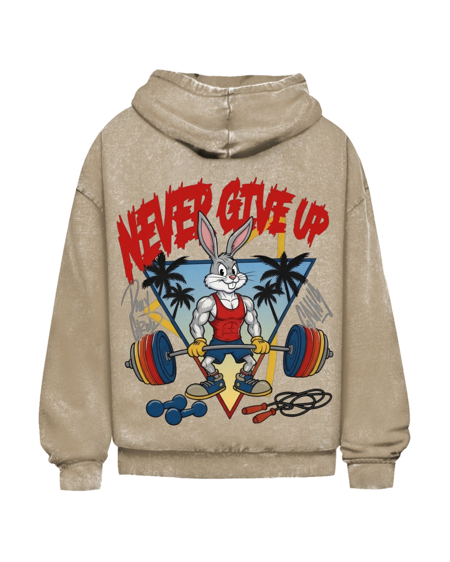 Never Give Up | Oversized Washed Hoodie